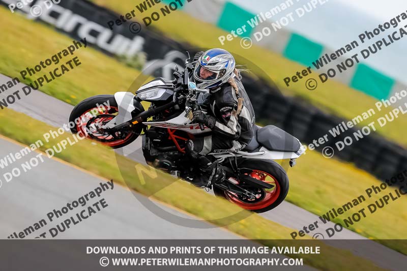 PJ Motorsport 2019;anglesey no limits trackday;anglesey photographs;anglesey trackday photographs;enduro digital images;event digital images;eventdigitalimages;no limits trackdays;peter wileman photography;racing digital images;trac mon;trackday digital images;trackday photos;ty croes